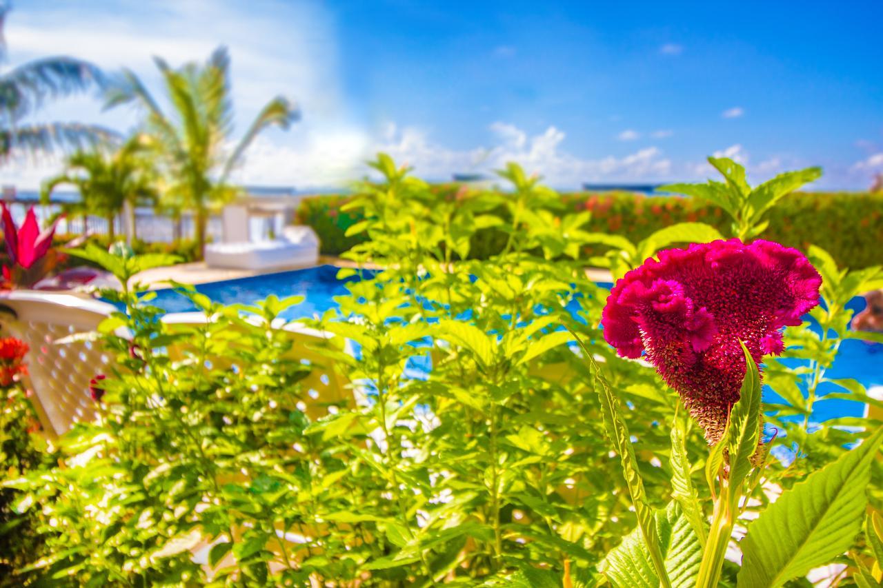 Hotel Aria Manzanillo Cartagena Exteriér fotografie
